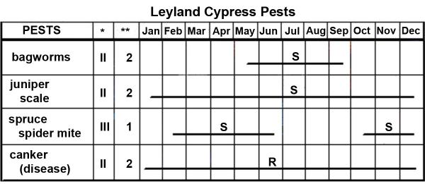 The Leyland Cypress Pest Management Calendar