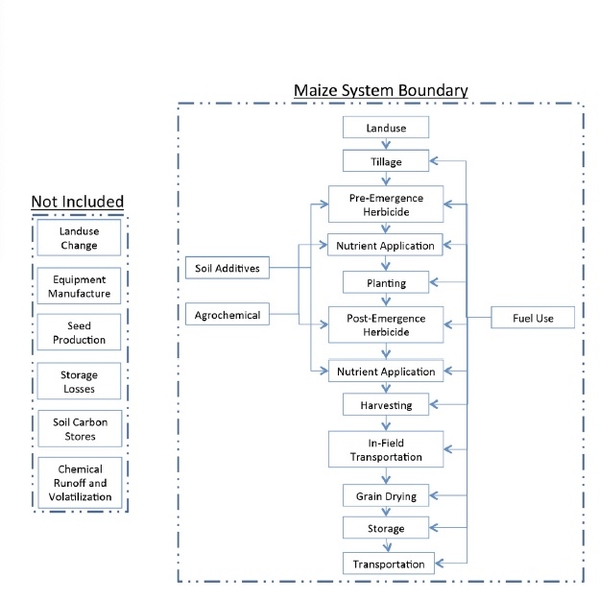 Schematic drawing of maize system boundary