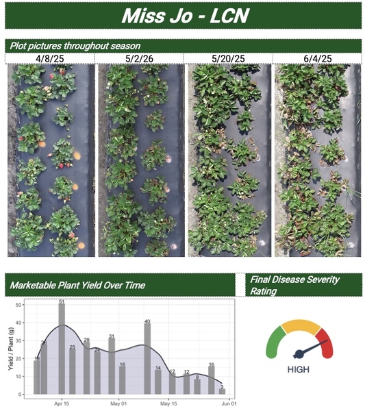 Plot pictures throughout season and graph of Marketable Plant Yield Over Time