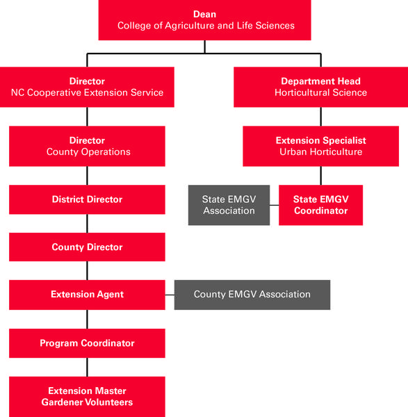 N.C. Cooperative Extension organizational chart