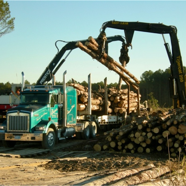 Thumbnail image for 2021 Income of North Carolina Timber Harvested and Delivered to Mills
