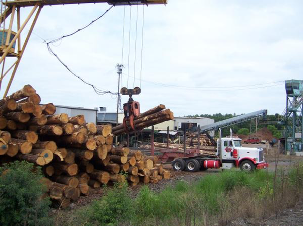 A crane lifts logs from truck