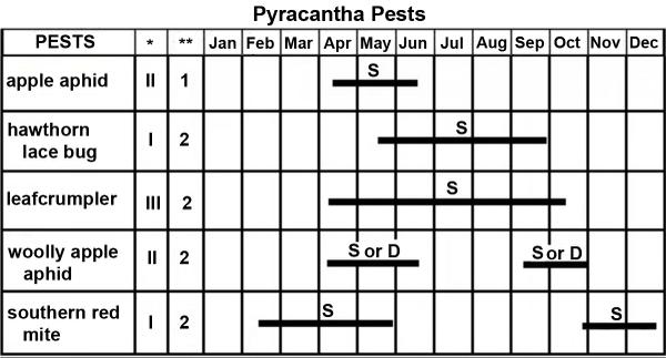The Pyracantha Pest Management Calendar