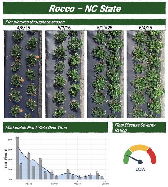 Plot pictures throughout season and graph of Marketable Plant Yield Over Time