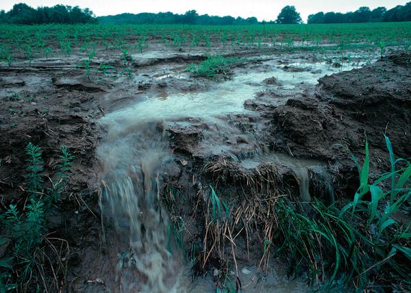 soil erosion by water