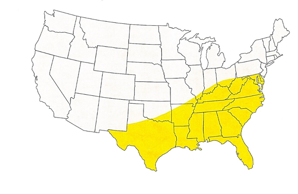 map of United states with southeast area as well as most of Texas highlighted