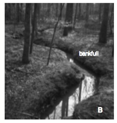 Natural Stream Processes  NC State Extension Publications