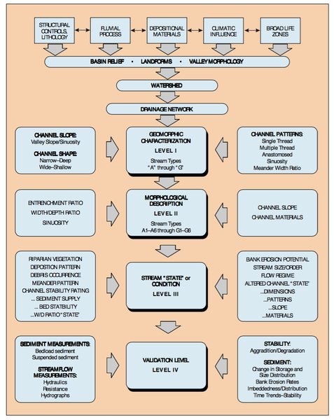 Lynn & Becker's classification of sample types included in their