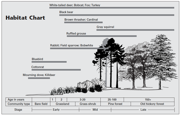 Tree Age Chart