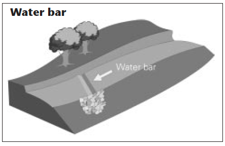 Water bar.