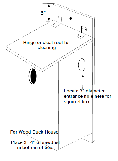 Woodland Wildlife Nest Boxes Nc State Extension Publications