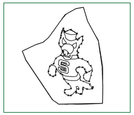 Illustration of NC State mascot image within field boundaries