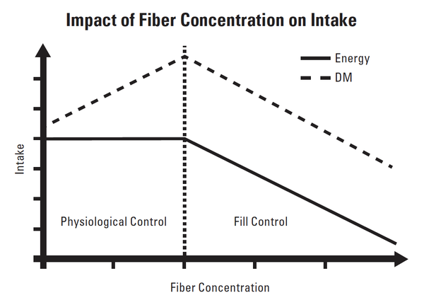 Relationship between fiber concentration and intake