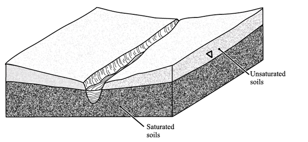 Sketch of saturated zone established near the surface to promote denitrification