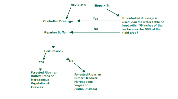 If controlled drainage is used, can the water table be kept within 36 inches of the surface soil for 50% of the field area? Yes: Controlled Drainage. No: Riparian Buffer