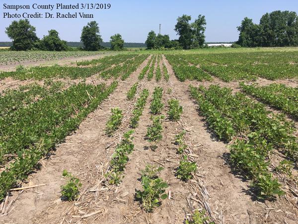 Thumbnail image for Soybean Seedling Diseases