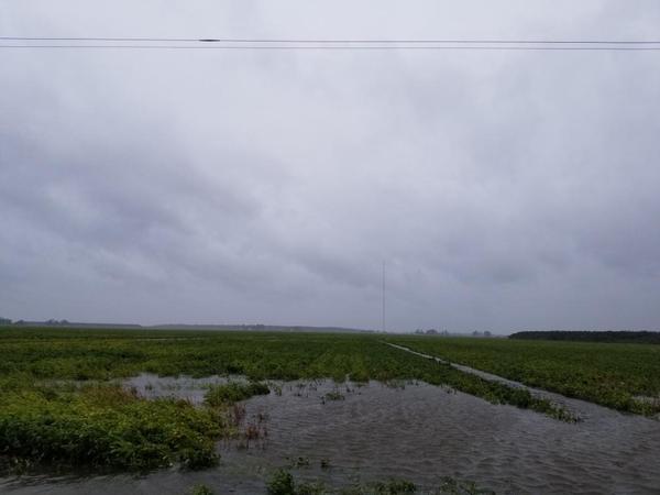 Flooded field following a hurricane in Eastern NC