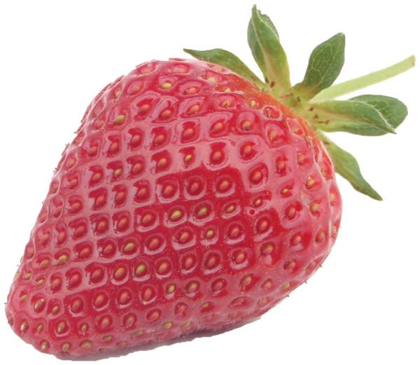 strawberry decorative photo