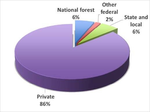 Thumbnail image for 2019 Income of North Carolina Timber Harvested and Delivered to Mills