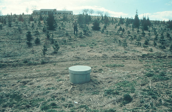 A circular concrete well cover rises from bare soil in close proximity to young Christmas trees in a field above and around the well.