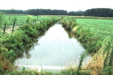 Thumbnail image for Controlled Drainage Management Guidelines for Improving Drainage Water Quality