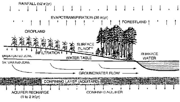 Illustration of hyrdologic cycle. i.e. rainfall, surface water, surface runoff, water table, groundwater flow, etc.