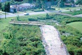 decorative image-arial view of wetland bridge