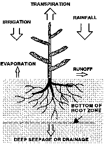 Figure 2. Source and fate of water added to a soil system.