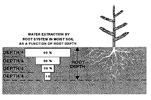 Figure 10. The amount of water extracted by plants is influenced