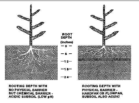 Fig 11. Soil properties that influence the plant's rooting depth