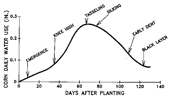 Figure 13. Corn daily water use as influenced by stage of develo