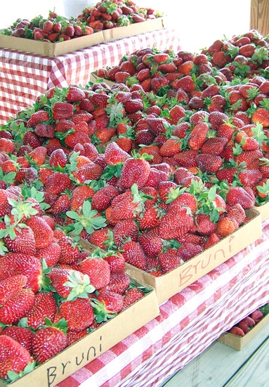 Strawberries displayed in boxes on tables with checkered tablecloths