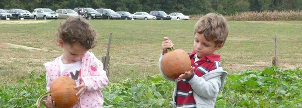 Children hold small pumpkins in a field
