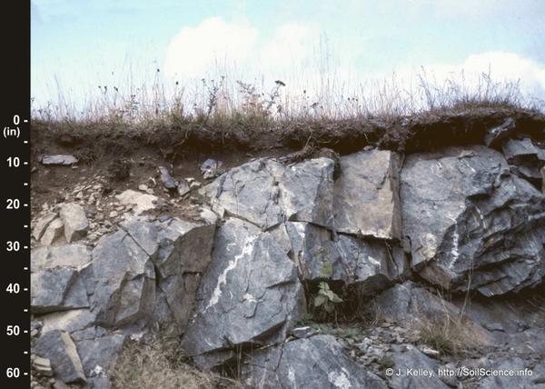 Side view of bedrock layer beneath shallow soil