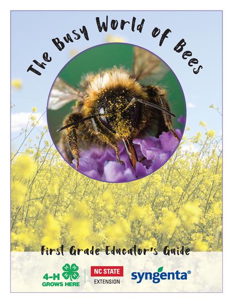 "Busy World of Bees Educators Guide cover" width="192" height="247" 