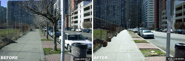 Before image shows street with trees. After shows trees gone.