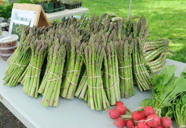 Photo of asparagus for sale at an outdoor farmers market
