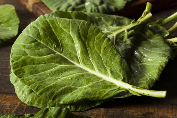 Photo of collard greens leaves.