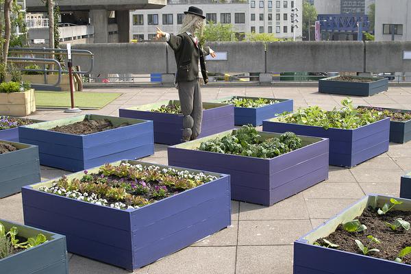 Photo of a rooftop garden.