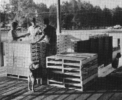 Figure 1. Packaged and palletized blueberries being received