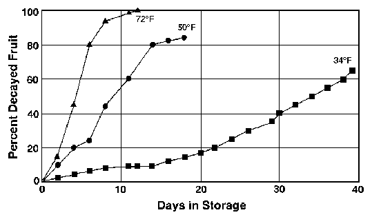 Figure 2. Percentage of decay in packaged blueberries stored