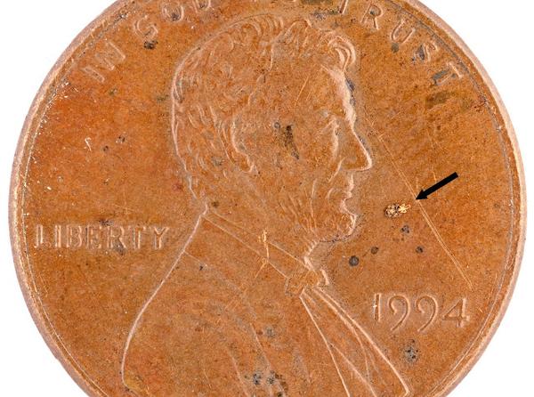 Tiny mite with arrow to point it out just by Abe Lincoln's mouth on a penny
