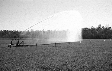 Decorative black and white cover image of irrigation system