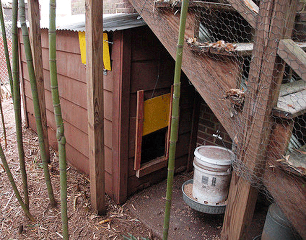 Feed container within a protected coop area