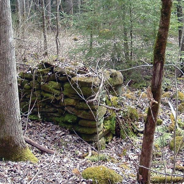 Stacked stones covered in moss and surrounded by trees in a wood