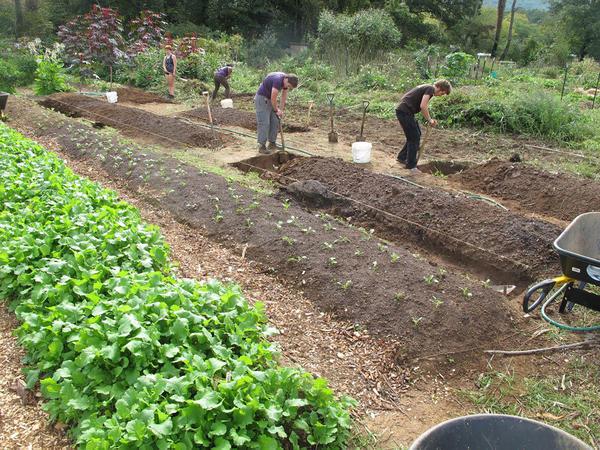 Master Gardener Volunteers And Community Home Gardens Nc State