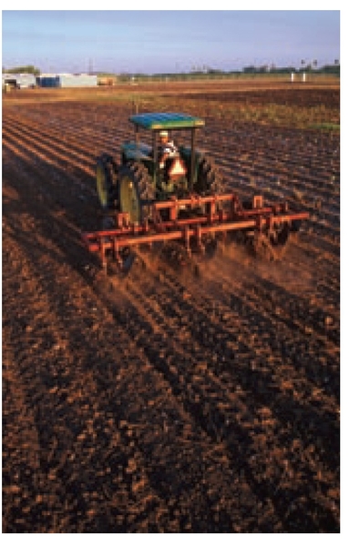 Photograph of a farmer plowing a field in preparation for planting corn.