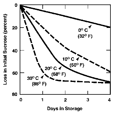 Figure 1. Loss of sugar during storage at 4 different temperatur