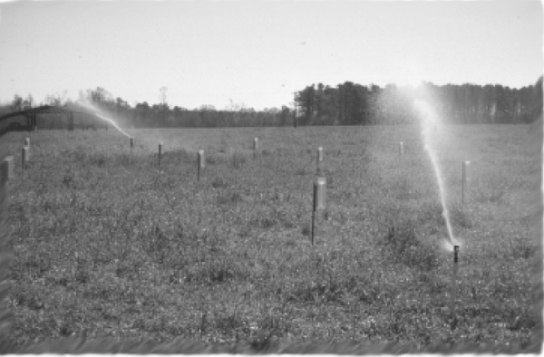 Thumbnail image for Stationary Sprinkler Irrigation System