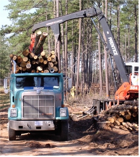 Thumbnail image for 2014 Income of North Carolina Timber Harvested and Delivered to Mills